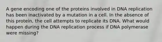 A gene encoding one of the proteins involved in DNA replication has been inactivated by a mutation in a cell. In the absence of this protein, the cell attempts to replicate its DNA. What would happen during the DNA replication process if DNA polymerase were missing?