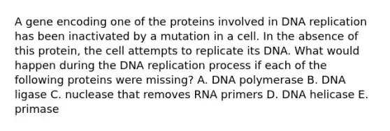 A gene encoding one of the proteins involved in DNA replication has been inactivated by a mutation in a cell. In the absence of this protein, the cell attempts to replicate its DNA. What would happen during the DNA replication process if each of the following proteins were missing? A. DNA polymerase B. DNA ligase C. nuclease that removes RNA primers D. DNA helicase E. primase