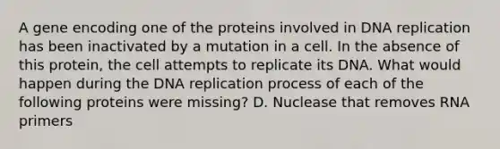 A gene encoding one of the proteins involved in <a href='https://www.questionai.com/knowledge/kofV2VQU2J-dna-replication' class='anchor-knowledge'>dna replication</a> has been inactivated by a mutation in a cell. In the absence of this protein, the cell attempts to replicate its DNA. What would happen during the DNA replication process of each of the following proteins were missing? D. Nuclease that removes RNA primers