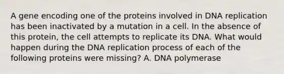 A gene encoding one of the proteins involved in DNA replication has been inactivated by a mutation in a cell. In the absence of this protein, the cell attempts to replicate its DNA. What would happen during the DNA replication process of each of the following proteins were missing? A. DNA polymerase