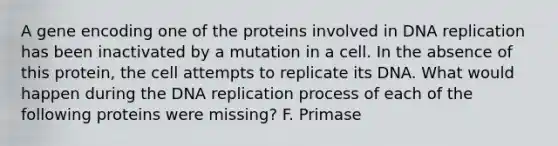 A gene encoding one of the proteins involved in DNA replication has been inactivated by a mutation in a cell. In the absence of this protein, the cell attempts to replicate its DNA. What would happen during the DNA replication process of each of the following proteins were missing? F. Primase