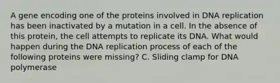 A gene encoding one of the proteins involved in <a href='https://www.questionai.com/knowledge/kofV2VQU2J-dna-replication' class='anchor-knowledge'>dna replication</a> has been inactivated by a mutation in a cell. In the absence of this protein, the cell attempts to replicate its DNA. What would happen during the DNA replication process of each of the following proteins were missing? C. Sliding clamp for DNA polymerase