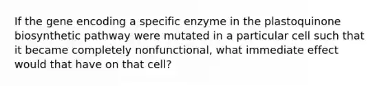 If the gene encoding a specific enzyme in the plastoquinone biosynthetic pathway were mutated in a particular cell such that it became completely nonfunctional, what immediate effect would that have on that cell?