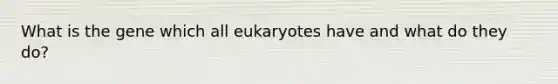 What is the gene which all eukaryotes have and what do they do?