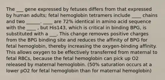 The ___ gene expressed by fetuses differs from that expressed by human adults; fetal hemoglobin tetramers include ____ chains and two ______. ____ are 72% identical in amino acid sequence with the ____ , but His143, which is critical in binding BPG, is substituted with a ___. This change removes positive charges from the BPG binding site and reduces the affinity of BPG for fetal hemoglobin, thereby increasing the oxygen-binding affinity. This allows oxygen to be effectively transferred from maternal to fetal RBCs, because the fetal hemoglobin can pick up O2 released by maternal hemoglobin. (50% saturation occurs at a lower pO2 for fetal hemoglobin than for maternal hemoglobin)