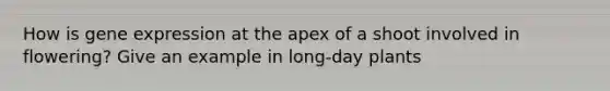 How is gene expression at the apex of a shoot involved in flowering? Give an example in long-day plants