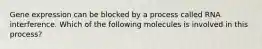 Gene expression can be blocked by a process called RNA interference. Which of the following molecules is involved in this process?