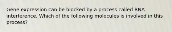 Gene expression can be blocked by a process called RNA interference. Which of the following molecules is involved in this process?