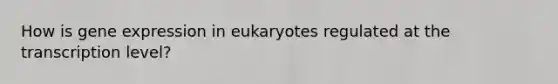 How is <a href='https://www.questionai.com/knowledge/kFtiqWOIJT-gene-expression' class='anchor-knowledge'>gene expression</a> in eukaryotes regulated at the transcription level?