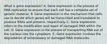 What is gene expression? A. Gene expression is the process of DNA replication to ensure that each cell has a complete set of genetic material. B. Gene expression is the mechanism that cells use to decide which genes will be transcribed and translated to produce RNAs and proteins, respectively. C. Gene expression refers to the modification and repair of damaged DNA within the cell. D. Gene expression is the process of transporting RNA out of the nucleus into the cytoplasm. E. Gene expression involves the degradation of unnecessary or damaged RNA molecules.