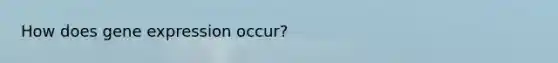 How does <a href='https://www.questionai.com/knowledge/kFtiqWOIJT-gene-expression' class='anchor-knowledge'>gene expression</a> occur?