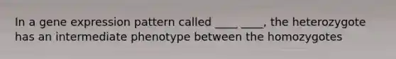 In a gene expression pattern called ____ ____, the heterozygote has an intermediate phenotype between the homozygotes