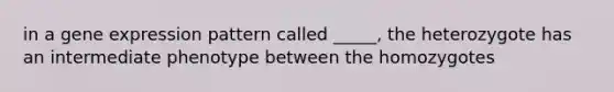 in a gene expression pattern called _____, the heterozygote has an intermediate phenotype between the homozygotes