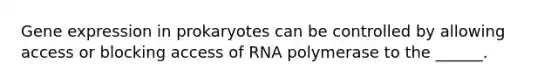 <a href='https://www.questionai.com/knowledge/kFtiqWOIJT-gene-expression' class='anchor-knowledge'>gene expression</a> in prokaryotes can be controlled by allowing access or blocking access of RNA polymerase to the ______.