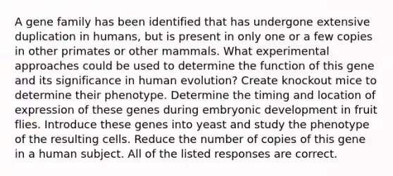 A gene family has been identified that has undergone extensive duplication in humans, but is present in only one or a few copies in other primates or other mammals. What experimental approaches could be used to determine the function of this gene and its significance in human evolution? Create knockout mice to determine their phenotype. Determine the timing and location of expression of these genes during embryonic development in fruit flies. Introduce these genes into yeast and study the phenotype of the resulting cells. Reduce the number of copies of this gene in a human subject. All of the listed responses are correct.