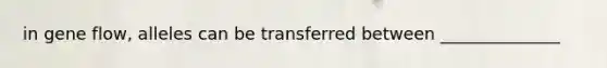 in gene flow, alleles can be transferred between ______________