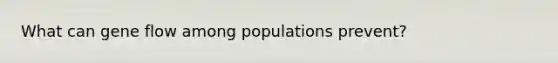 What can gene flow among populations prevent?