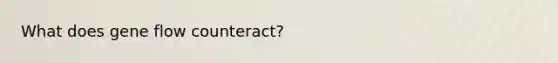 What does gene flow counteract?