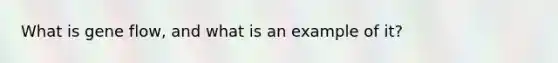 What is gene flow, and what is an example of it?