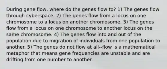 During gene flow, where do the genes flow to? 1) The genes flow through cyberspace. 2) The genes flow from a locus on one chromosome to a locus on another chromosome. 3) The genes flow from a locus on one chromosome to another locus on the same chromosome. 4) The genes flow into and out of the population due to migration of individuals from one population to another. 5) The genes do not flow at all--flow is a mathematical metaphor that means gene frequencies are unstable and are drifting from one number to another.