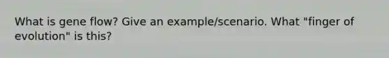 What is gene flow? Give an example/scenario. What "finger of evolution" is this?