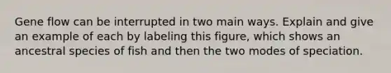 Gene flow can be interrupted in two main ways. Explain and give an example of each by labeling this figure, which shows an ancestral species of fish and then the two modes of speciation.