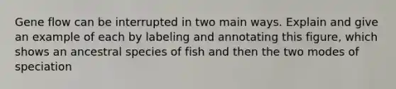 Gene flow can be interrupted in two main ways. Explain and give an example of each by labeling and annotating this figure, which shows an ancestral species of fish and then the two modes of speciation