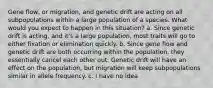 Gene flow, or migration, and genetic drift are acting on all subpopulations within a large population of a species. What would you expect to happen in this situation? a. Since genetic drift is acting, and it's a large population, most traits will go to either fixation or elimination quickly. b. Since gene flow and genetic drift are both occurring within the population, they essentially cancel each other out. Genetic drift will have an effect on the population, but migration will keep subpopulations similar in allele frequency. c. I have no idea