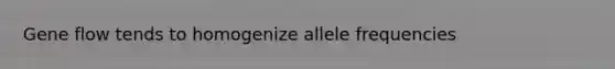 Gene flow tends to homogenize allele frequencies