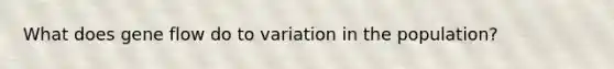 What does gene flow do to variation in the population?