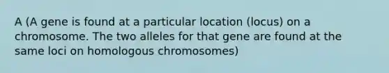 A (A gene is found at a particular location (locus) on a chromosome. The two alleles for that gene are found at the same loci on homologous chromosomes)