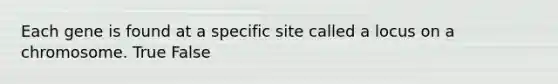 Each gene is found at a specific site called a locus on a chromosome. True False