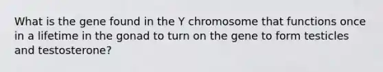 What is the gene found in the Y chromosome that functions once in a lifetime in the gonad to turn on the gene to form testicles and testosterone?