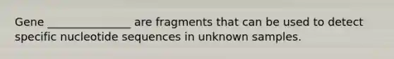 Gene _______________ are fragments that can be used to detect specific nucleotide sequences in unknown samples.