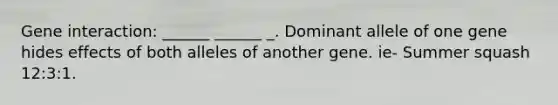 Gene interaction: ______ ______ _. Dominant allele of one gene hides effects of both alleles of another gene. ie- Summer squash 12:3:1.