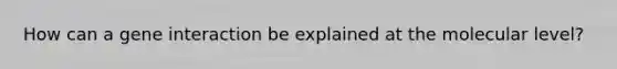 How can a gene interaction be explained at the molecular level?