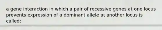 a gene interaction in which a pair of recessive genes at one locus prevents expression of a dominant allele at another locus is called: