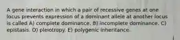 A gene interaction in which a pair of recessive genes at one locus prevents expression of a dominant allele at another locus is called A) complete dominance. B) incomplete dominance. C) epistasis. D) pleiotropy. E) polygenic inheritance.