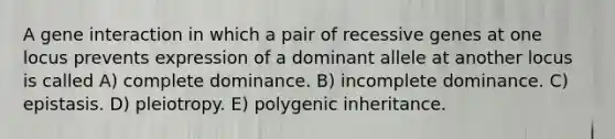 A gene interaction in which a pair of recessive genes at one locus prevents expression of a dominant allele at another locus is called A) complete dominance. B) incomplete dominance. C) epistasis. D) pleiotropy. E) polygenic inheritance.