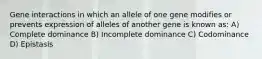 Gene interactions in which an allele of one gene modifies or prevents expression of alleles of another gene is known as: A) Complete dominance B) Incomplete dominance C) Codominance D) Epistasis