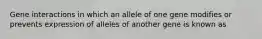 Gene interactions in which an allele of one gene modifies or prevents expression of alleles of another gene is known as