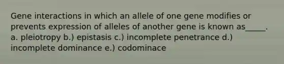 Gene interactions in which an allele of one gene modifies or prevents expression of alleles of another gene is known as_____. a. pleiotropy b.) epistasis c.) incomplete penetrance d.) incomplete dominance e.) codominace