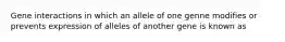 Gene interactions in which an allele of one genne modifies or prevents expression of alleles of another gene is known as