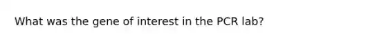 What was the gene of interest in the PCR lab?