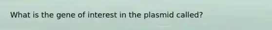 What is the gene of interest in the plasmid called?