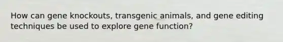 How can gene knockouts, transgenic animals, and gene editing techniques be used to explore gene function?