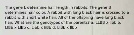 The gene L determine hair length in rabbits. The gene B determines hair color. A rabbit with long black hair is crossed to a rabbit with short white hair. All of the offspring have long black hair. What are the genotypes of the parents? a. LLBB x llbb b. LlBb x LlBb c. Llbb x llBb d. LlBb x llbb