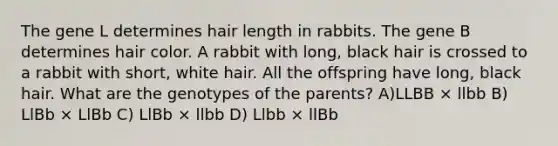 The gene L determines hair length in rabbits. The gene B determines hair color. A rabbit with long, black hair is crossed to a rabbit with short, white hair. All the offspring have long, black hair. What are the genotypes of the parents? A)LLBB × llbb B) LlBb × LlBb C) LlBb × llbb D) Llbb × llBb