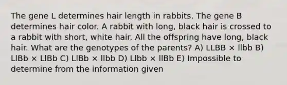 The gene L determines hair length in rabbits. The gene B determines hair color. A rabbit with long, black hair is crossed to a rabbit with short, white hair. All the offspring have long, black hair. What are the genotypes of the parents? A) LLBB × llbb B) LlBb × LlBb C) LlBb × llbb D) Llbb × llBb E) Impossible to determine from the information given