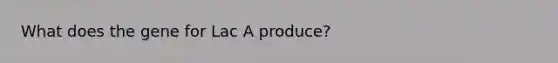 What does the gene for Lac A produce?